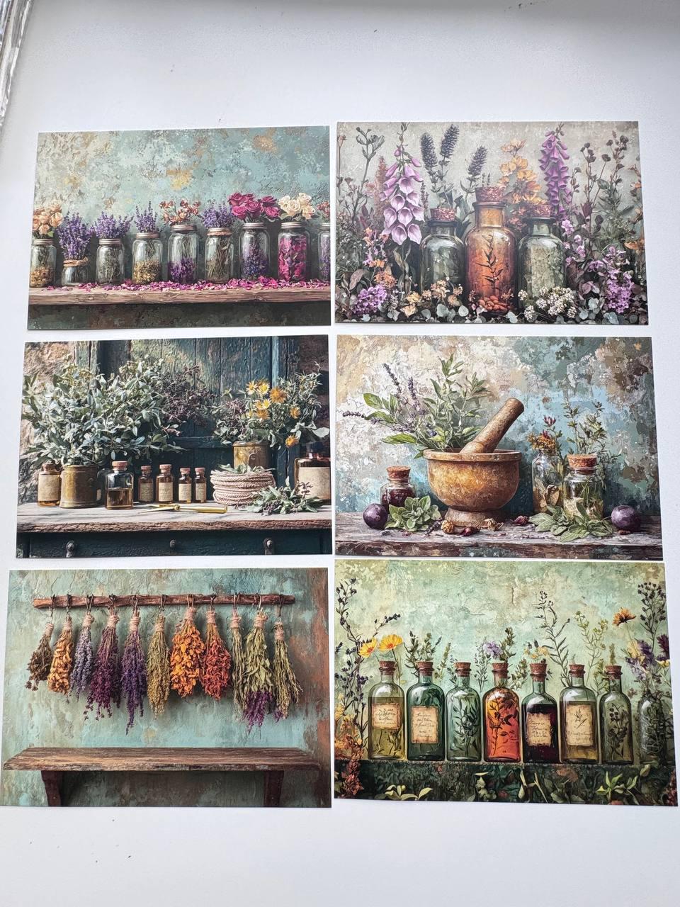 Set of 20 Vintage Botanical Postcards, Apothecary Herb & Flower Cards, Junk Journal Ephemera, Scrapbooking Supplies, 14.5 x 10 cm