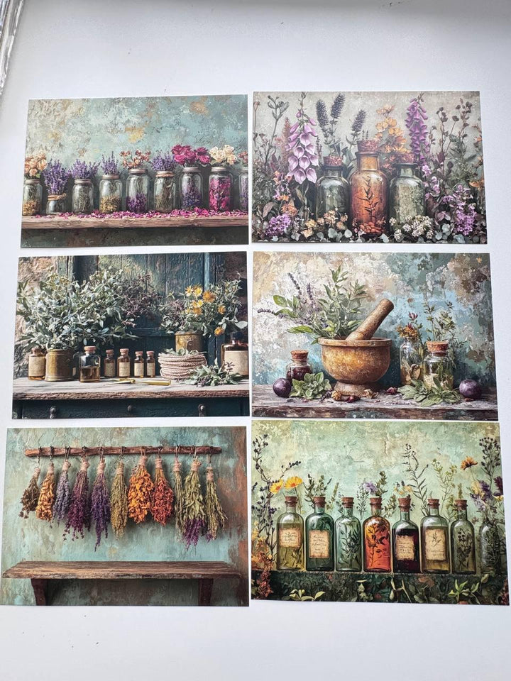 Set of 20 Vintage Botanical Postcards, Apothecary Herb & Flower Cards, Junk Journal Ephemera, Scrapbooking Supplies, 14.5 x 10 cm