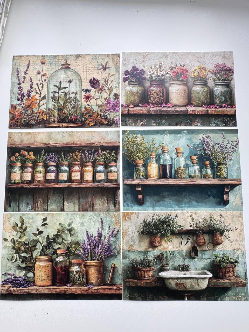 Set of 20 Vintage Botanical Postcards, Apothecary Herb & Flower Cards, Junk Journal Ephemera, Scrapbooking Supplies, 14.5 x 10 cm