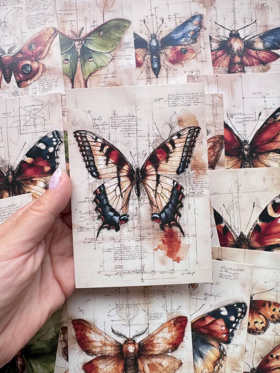 Set of 20 Vintage Butterfly Moth Postcards, Insect Ephemera Cards, Nature Illustration for Junk Journal & Scrapbooking, 14.5 x 10 cm