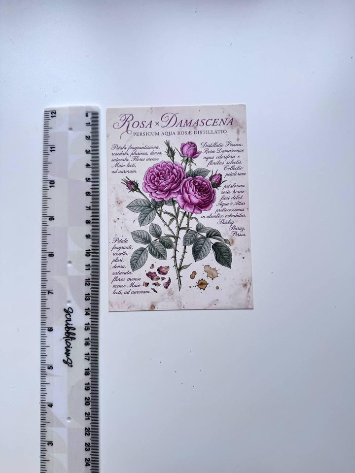 Set of 20 Vintage Botanical Postcards, Herbarium & Apothecary Cards, Plant Illustration Ephemera, 14.5 x 10 cm, Junk Journal Supplies