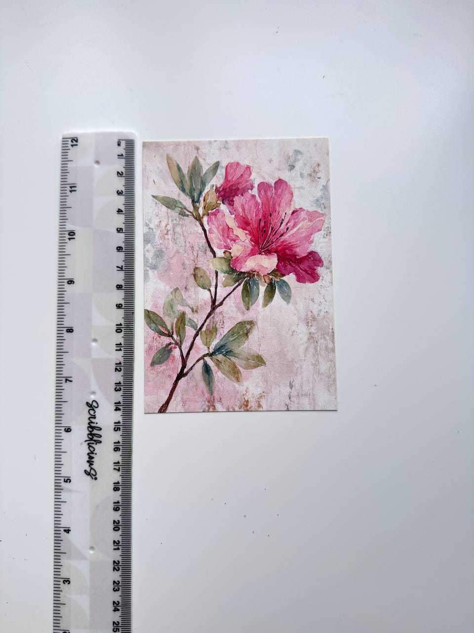Set of 20 Floral Postcards, Watercolour Flower Illustration Cards, 14.5 x 10 cm, Botanical Junk Journal & Scrapbooking Supplies