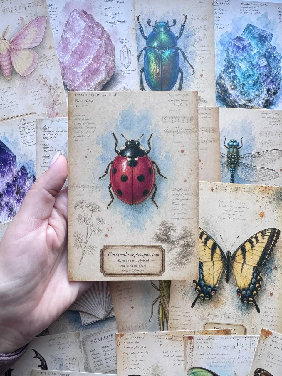 Set of 20 Vintage Natural History Postcards, Crystals Insects Butterflies Beetles, Botanical Ephemera, Junk Journal Cards 14.5 x 10 cm