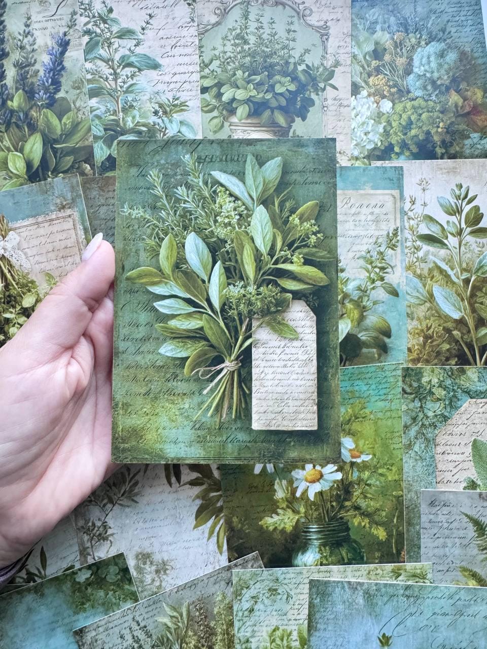 Set of 20 Botanical Herb Postcards, Vintage Green Plant Cards, Cottagecore Journal Ephemera, Scrapbooking Cards 14.5 x 10 cm