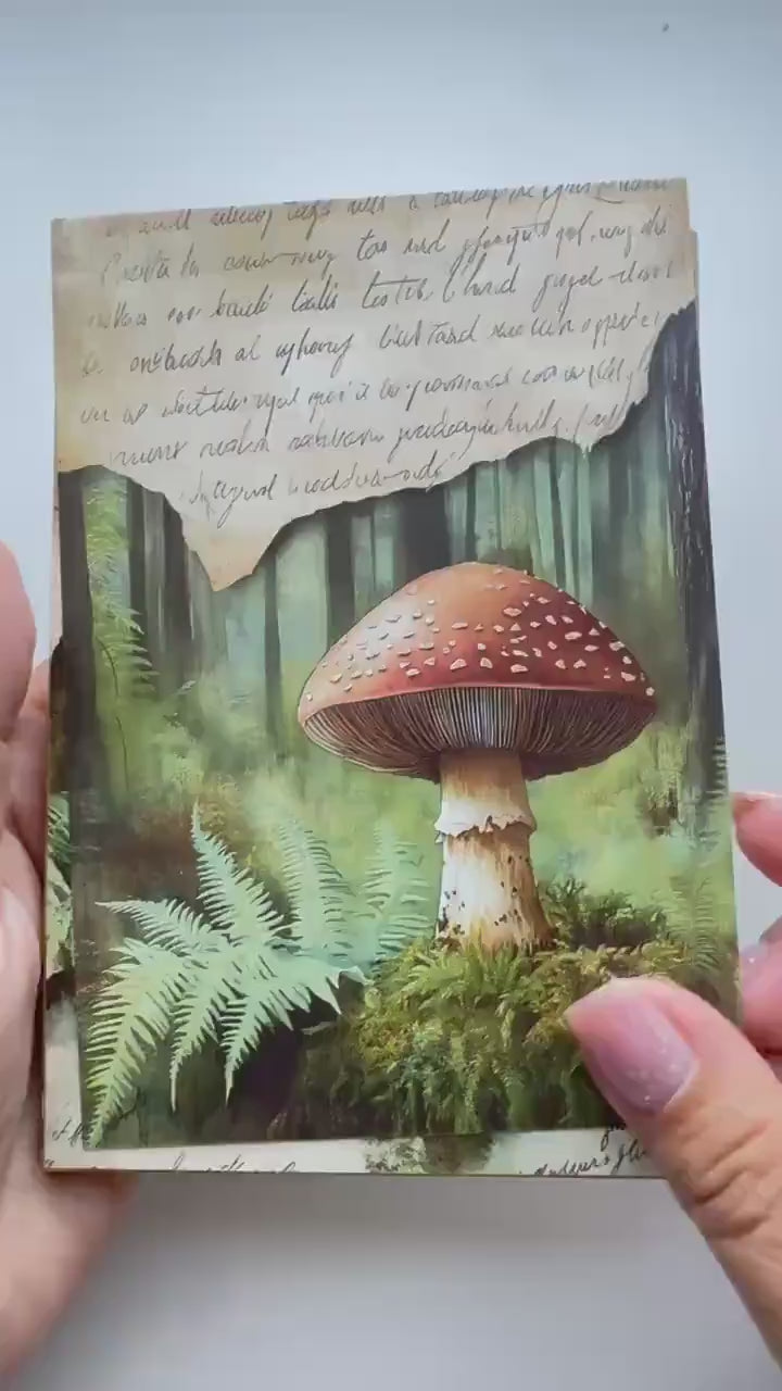 Set of 20 Woodland Forest Postcards 14.5 x 10 cm, Mushroom Botanical Cards, Vintage Nature Ephemera for Junk Journal Scrapbooking