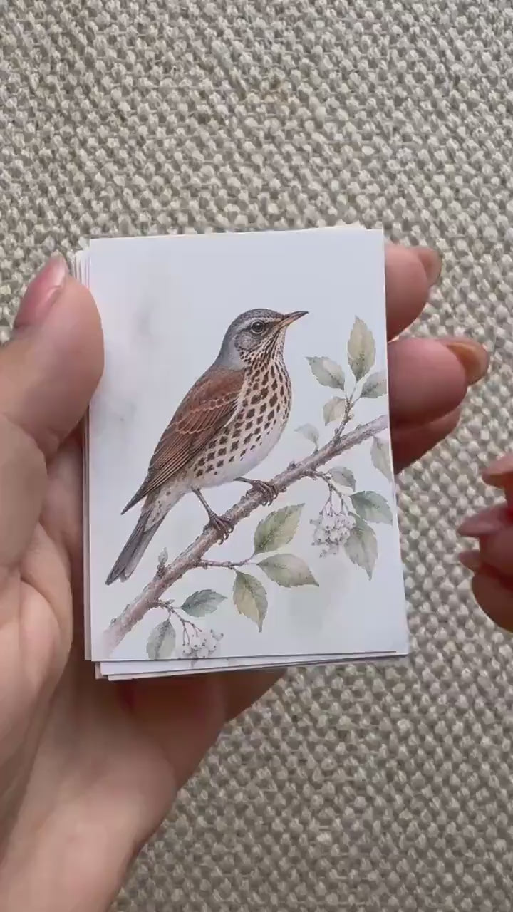 Vintage Bird Stickers Set of 16, British Wildlife Birds, Nature Journal Stickers, Birdwatching Ephemera, UK Handmade