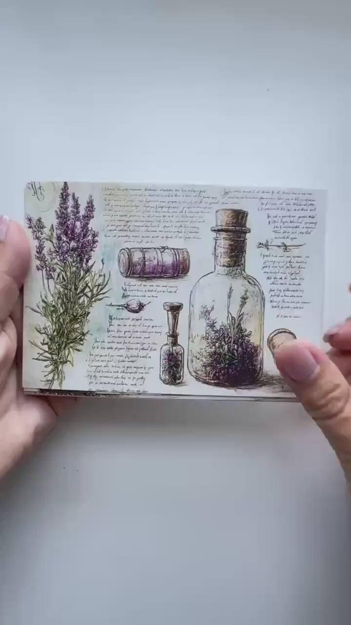 Set of 20 Vintage Botanical Postcards 14.5 x 10 cm, Herb & Lavender Cards, Apothecary Ephemera, Junk Journal Scrapbooking Supplies