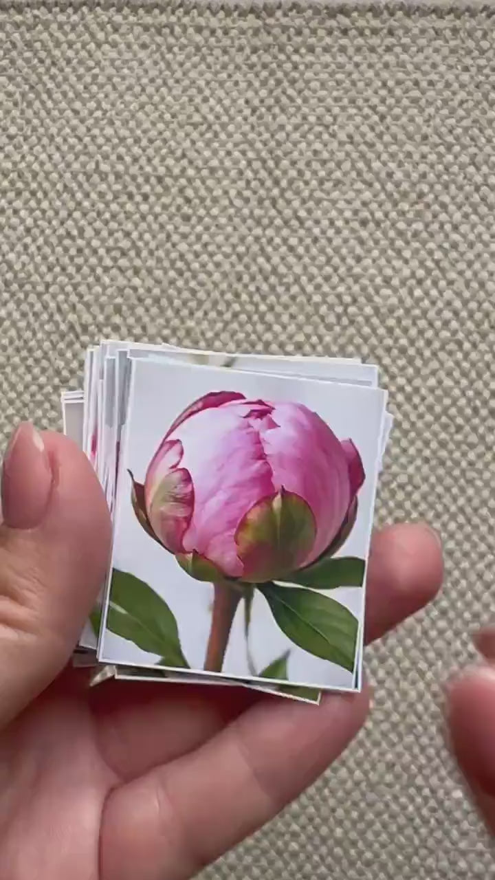 Set of 30 Peony Flower Stickers Set, Pink Peony Die Cuts, Floral Scrapbook Stickers, Romantic Journal Ephemera, Cottagecore Flower Pack