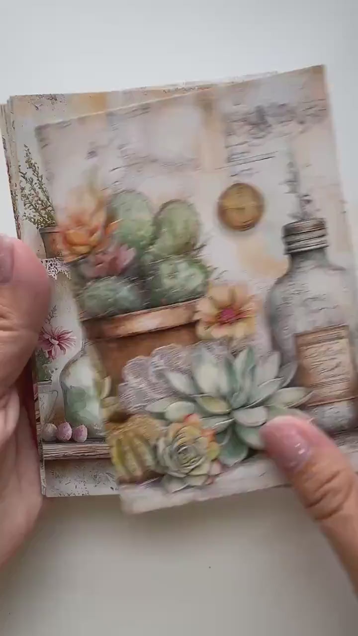 Set of 20 Succulent & Cactus Postcards, Vintage Botanical Cards, Junk Journal Ephemera, Scrapbooking Supplies, Cottagecore Paper Cards