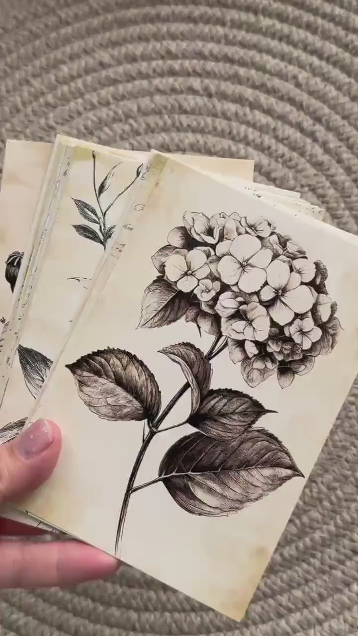 Vintage Botanical Ephemera Cards Set of 20, Antique Flower Illustration Cards, Junk Journal Scrapbooking Cards, Botanical Collage Pack