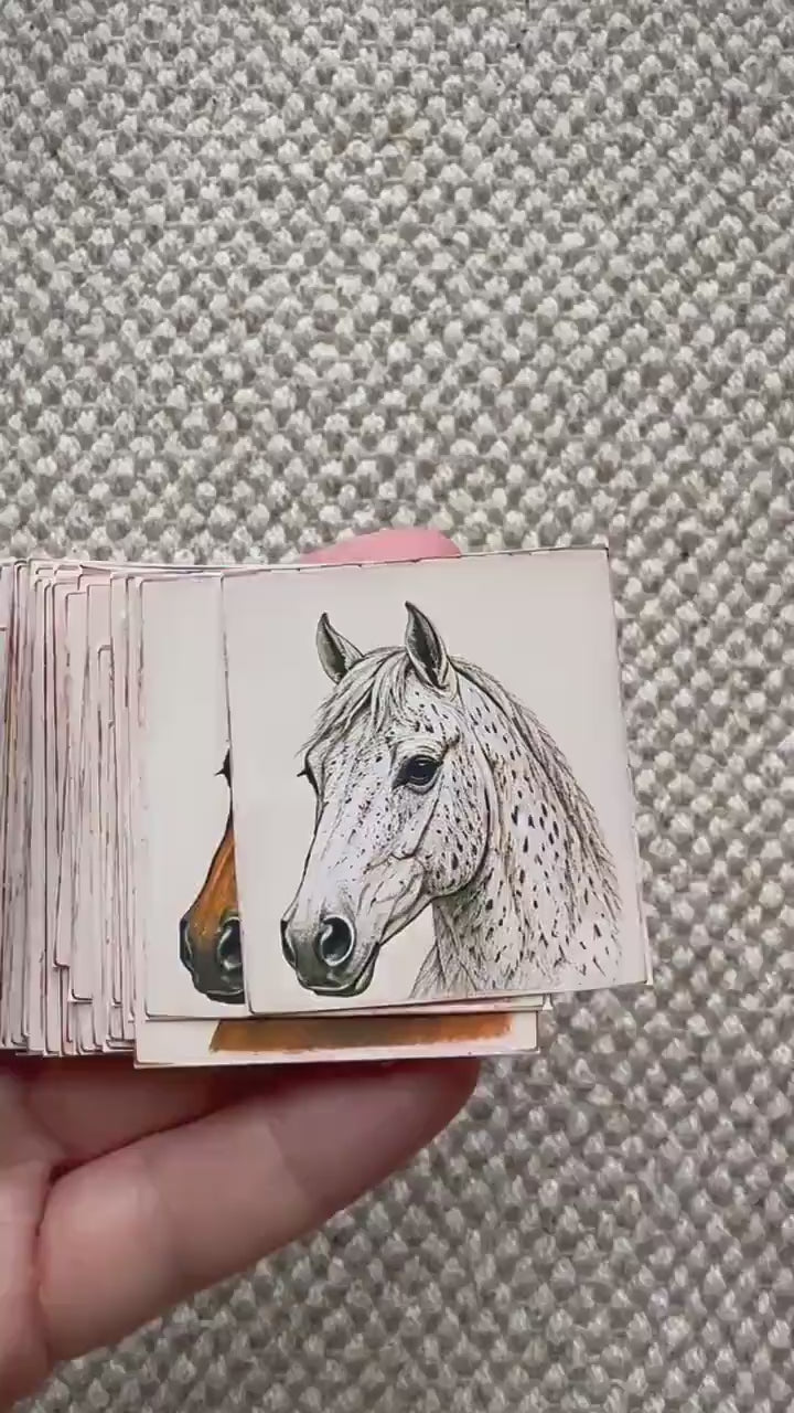 Set of 30 Horse Stickers Set, Vintage Horse Portrait Stickers, Equestrian Scrapbook Stickers, Horse Lover Journal Stickers, Farmhouse Animal