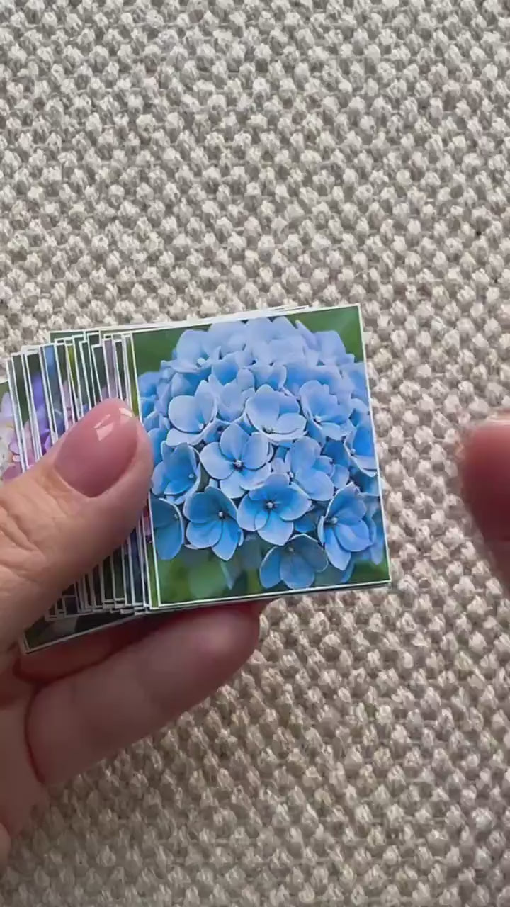 Set of 30 Hydrangea Stickers Set, Floral Die Cuts, Botanical Flower Stickers, Pink Blue Hydrangea Ephemera, Junk Journal Scrapbook Pack